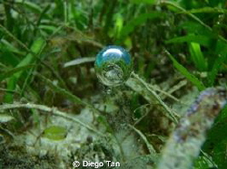 actually i really don't know what it is, but in mind it's... by Diego Tan 